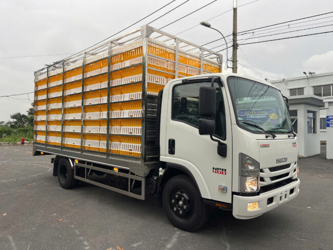 XE TẢI ISUZU NPR85KE5 CHỞ GIA CẦM 196 LỒNG